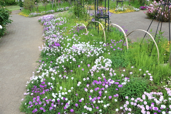 花菜ガーデンの風景