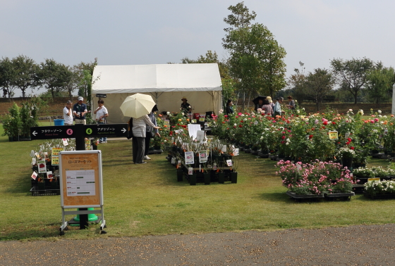 秋の花菜ガーデンです