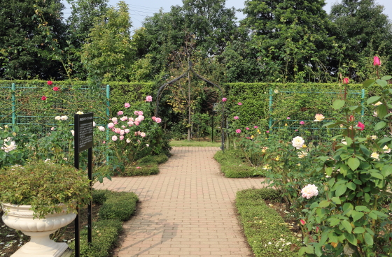 秋の花菜ガーデンの風景