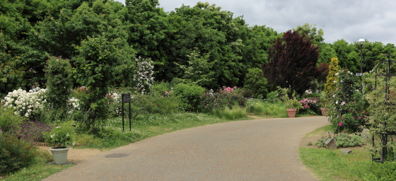 春の花菜ガーデンの風景