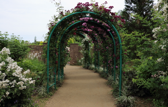 春の花菜ガーデンの風景