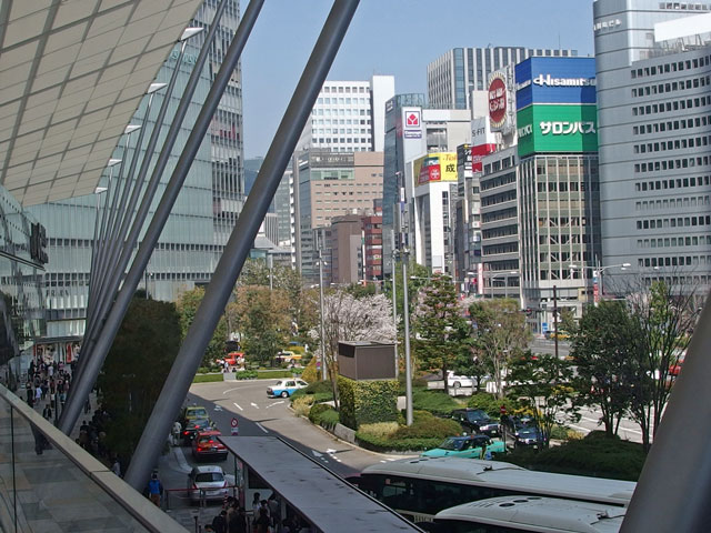 東京駅前の桜通り