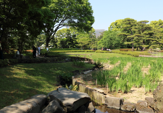 皇居東御苑の風景　春