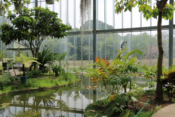 温室にも多くの植物が栽培されている