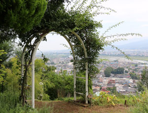 松田山ハーブガーデンの風景