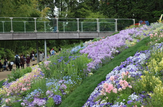 里山ガーデンの風景