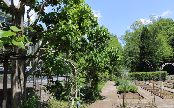 植物園の風景