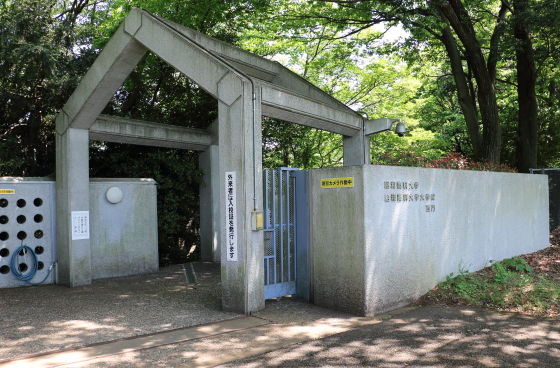 昭和薬科大学の校門です