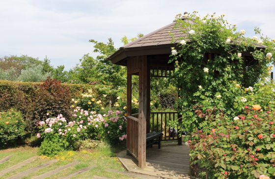 花菜ガーデンの風景