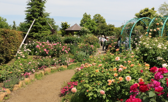 春の花菜ガーデンの風景