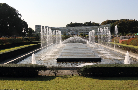 神代植物公園の風景