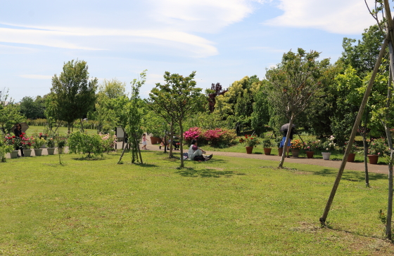 花菜ガーデンの風景　広い芝生