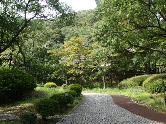 紅葉にはまだ少しかかりそう