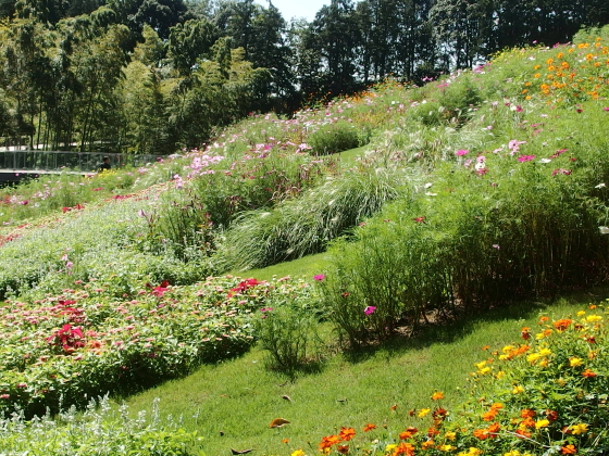 里山ガーデンの風景