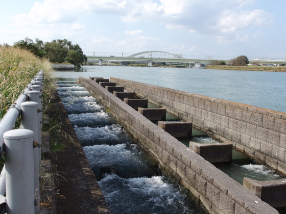 二ケ領用水・宿河原堰の魚道