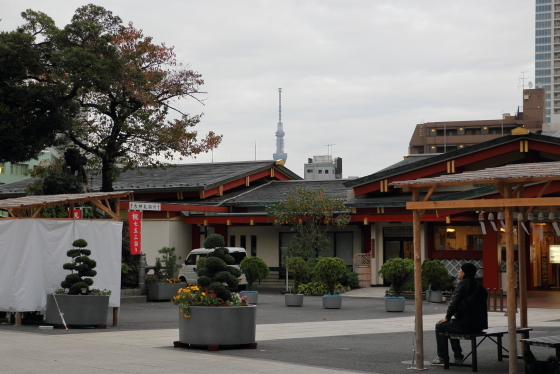 神田明神の境内から東京ツリーを望む