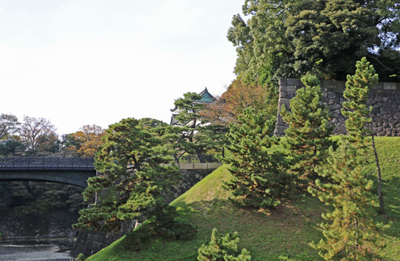 皇居　二重橋付近の紅葉も始まる