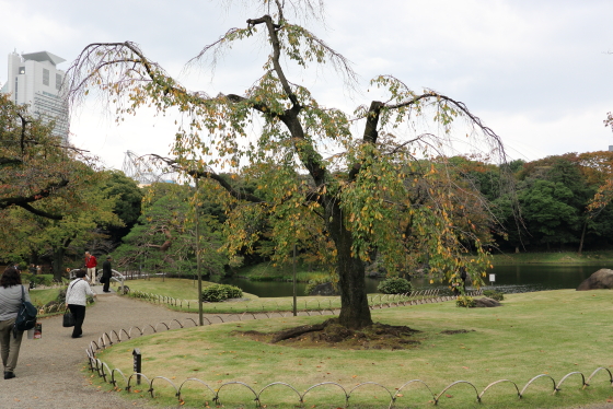 後楽園は回遊式庭園