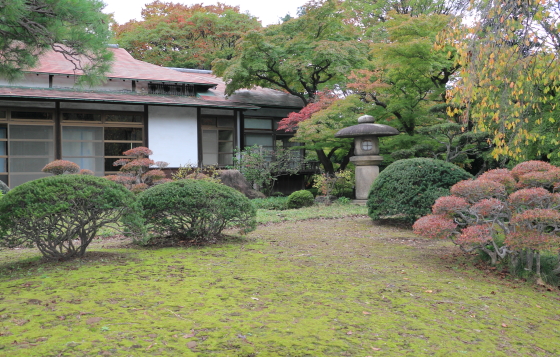 小石川後楽園の紅葉はもう少し先だね