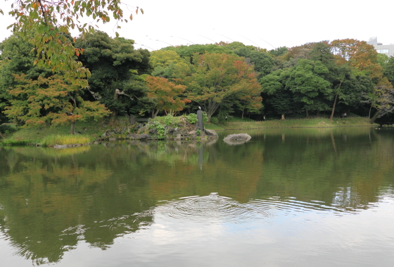 小石川後楽園は春には桜が咲きます