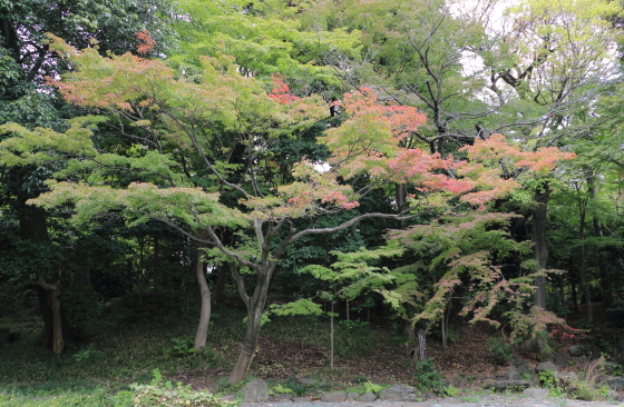 小石川後楽園は江戸時代に作られた