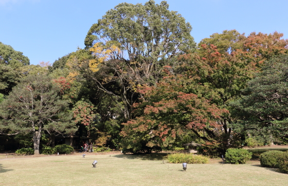 六儀園の紅葉はこれから