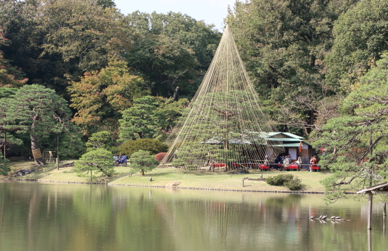 六儀園も冬支度を始めている