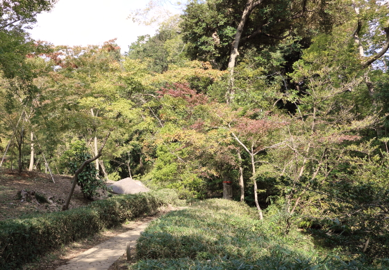 六義園の紅葉