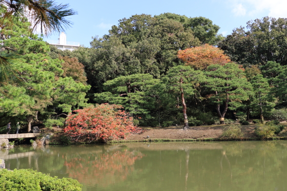 六義園の紅葉風景です