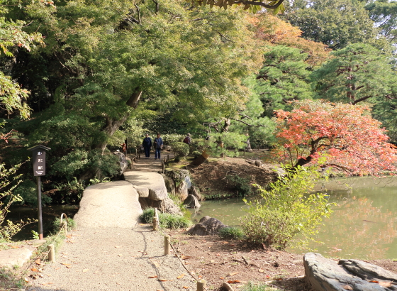 渡月橋の周りにも紅葉が