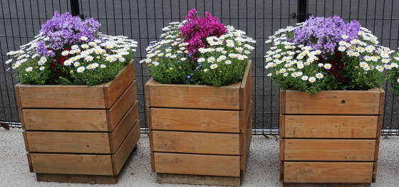 春の花の咲く風景