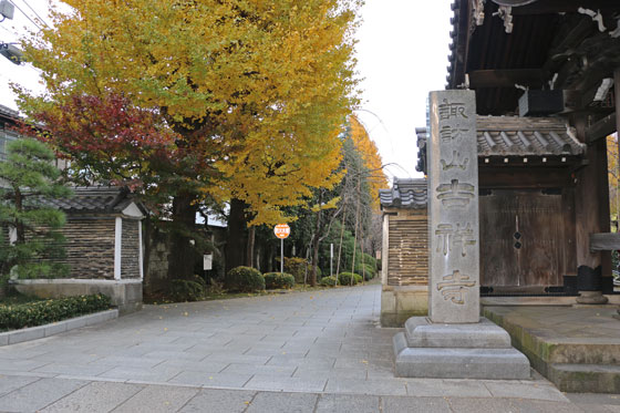 駒込の吉祥寺も山門