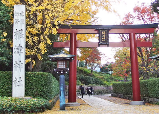 根津神社は文京区にあります