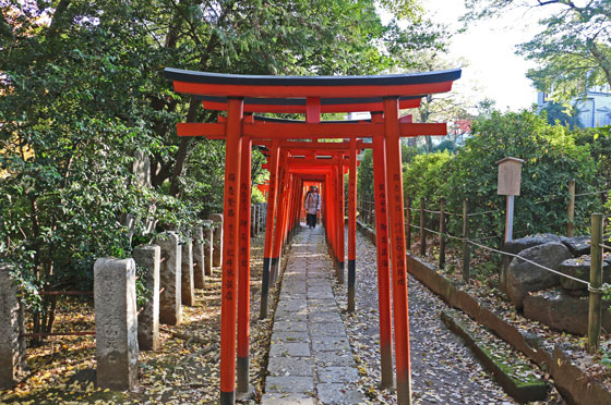 根津神社の乙女稲荷の鳥居