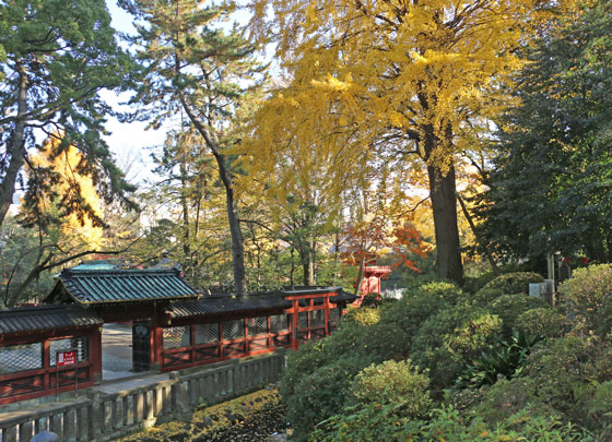 根津神社の風景