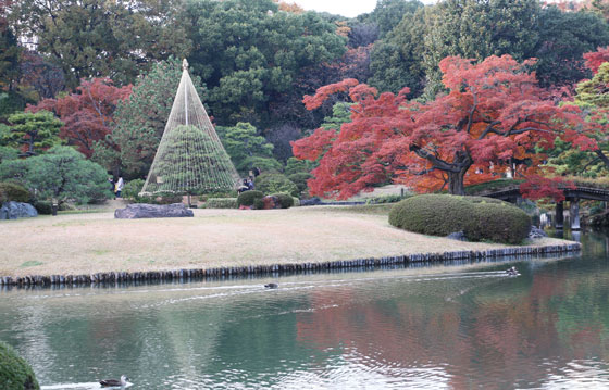 六義園の紅葉風景です