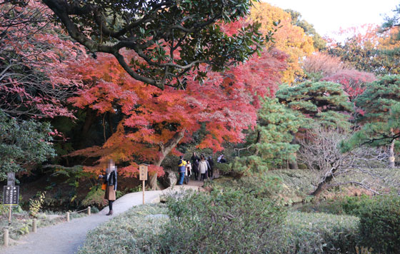 六義捐の紅葉は真っ盛りです