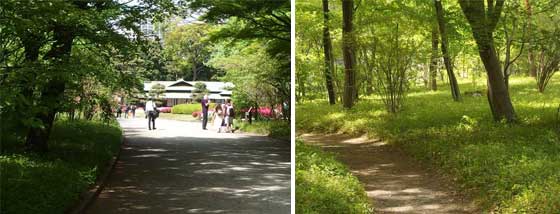 二の丸庭園の風景