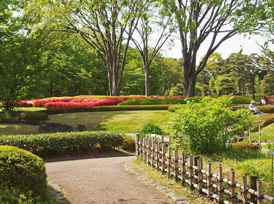 二の丸庭園の藤の花を訪ねて