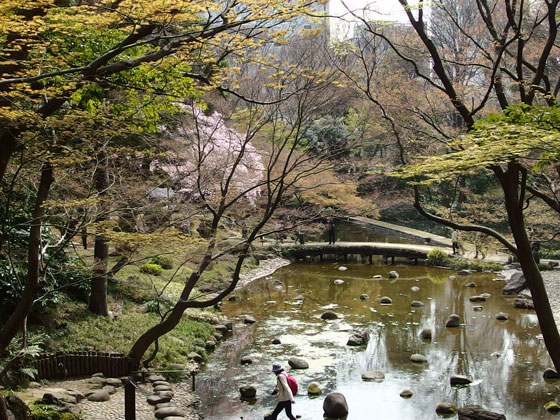 小石川後楽園の花見風景