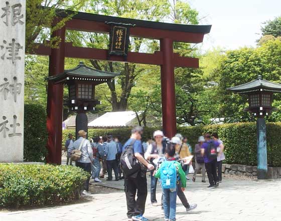 根津神社のつつじ祭り