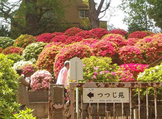 つつじ園の看板