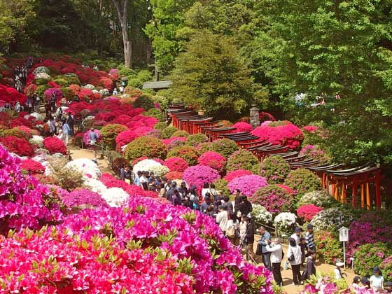 つつじ苑の風景