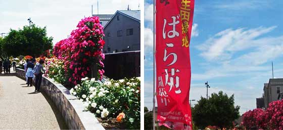 川沿いの遊歩道