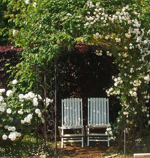 花菜ガーデンの春の風景