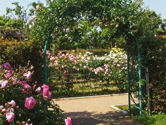 春の花菜ガーデンの風景