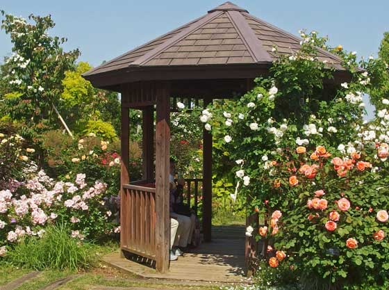 花菜ガーデンの春の風景