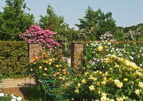 春の植物園の風景