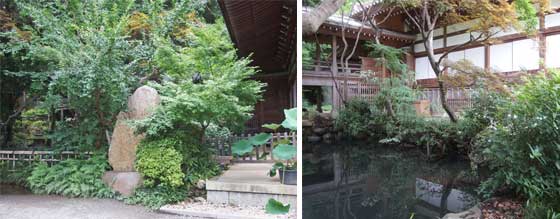 深大寺の境内の植物