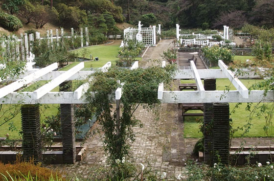 生田緑地ばら苑の風景